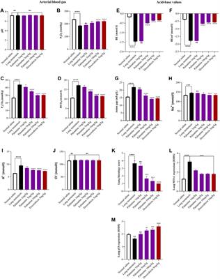 Palmatine Attenuates Metastatic Lung Colonization of Triple Negative Breast Cancer Cells